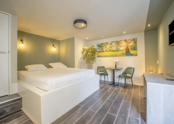 Fletcher Hotel-restaurant Hotel 4*